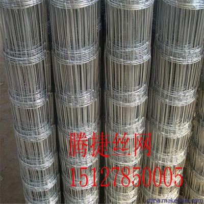 直供阜平縣草原圍欄網牛欄網規格圖片,直供阜平縣草原圍欄網牛欄網規格圖片大全,安平縣騰捷金屬絲網制品廠-