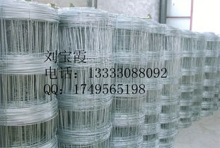 牛欄網(wǎng) 草原網(wǎng) 畜牧業(yè)圍欄 養(yǎng)殖防護網(wǎng)價格及規(guī)格型號