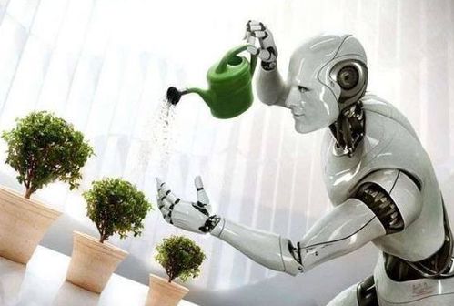 讓家庭機(jī)器人成標(biāo)配 我們還需跨越哪些山丘？